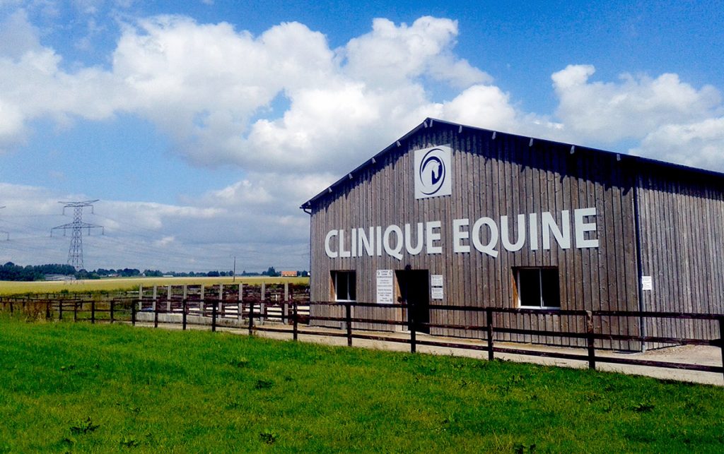 VetoOphtalmo | Ophtalmologie Veterinaire | Consultations clinique équine VetoOphtalmo | Ophtalmologie Veterinaire | Consultations clinique équine